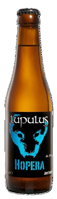 Lupulus Hopera Fust 20 ltr 6%