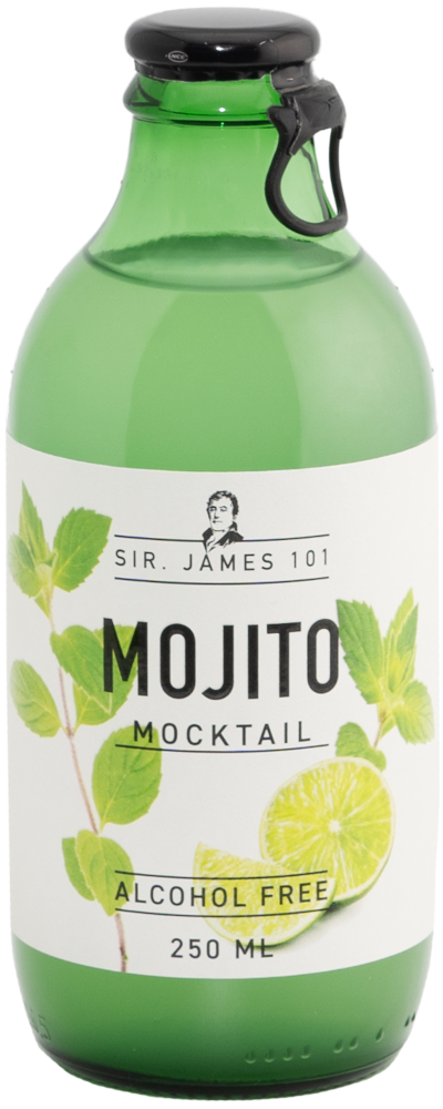 Sir James 101 Mojito Doos 12x25 cl