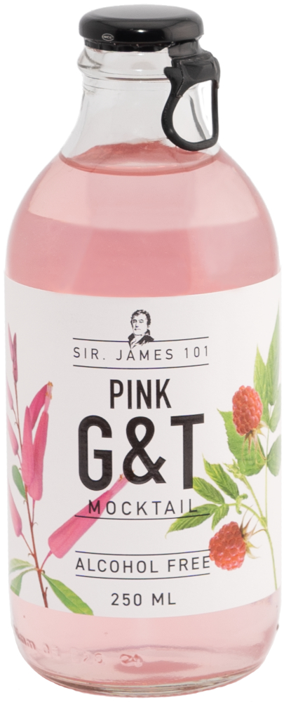 Sir James 101 Pink Gin Tonic Doos 12x25 cl