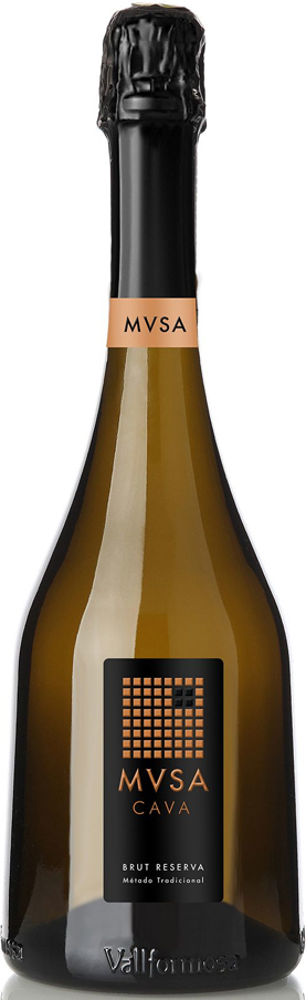 Cava MVSA Brut Reserva Fles 75 cl 12%