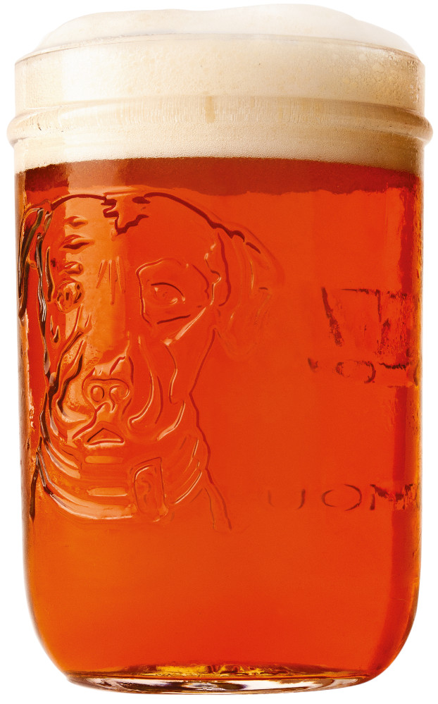 Lagunitas IPA AIO Fust 20 ltr 6,2%