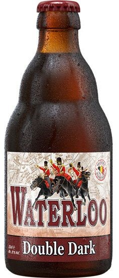 Waterloo Double Dark Krat 24x33 cl 8%