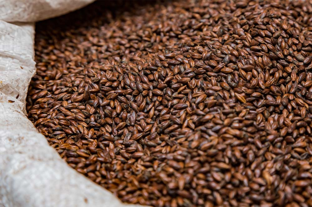 Geroosterde moutkorrels voor het brouwen van bokbier